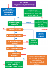 Severe Asthma Diagnosis And Assessment | Severe Asthma Toolkit