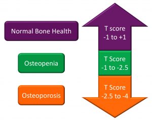 Significance of Osteoporosis and Severe Asthma | Severe Asthma Toolkit