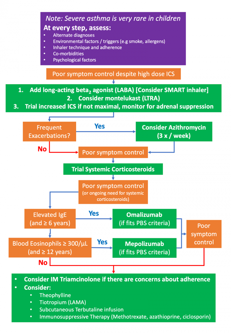 Severe Asthma Medications In Paediatrics | Severe Asthma Toolkit